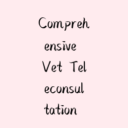 Comprehensive Vet Teleconsultation Services: The Future of Pet Care in Udaipur